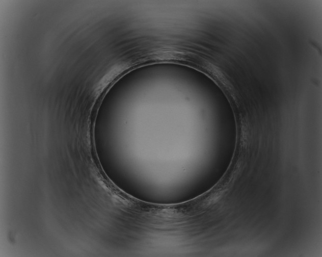 X0000101420986200807141150