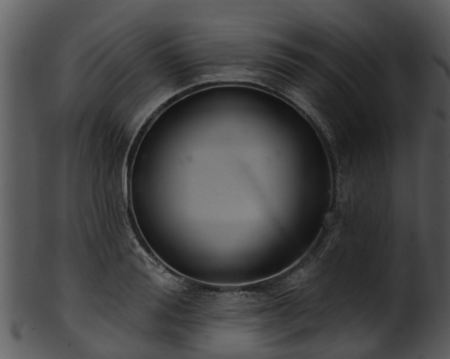X0000101420988200807141150