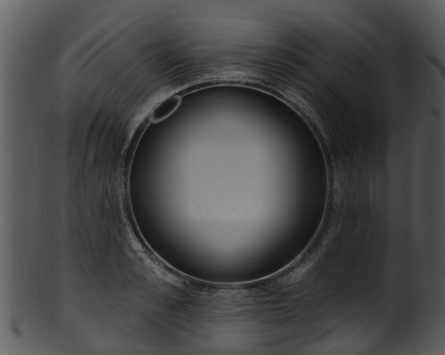 X0000101420989200807141150