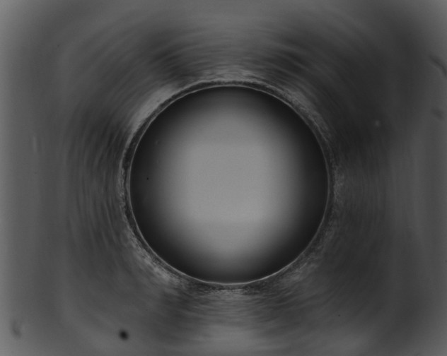 X0000101420990200807141150