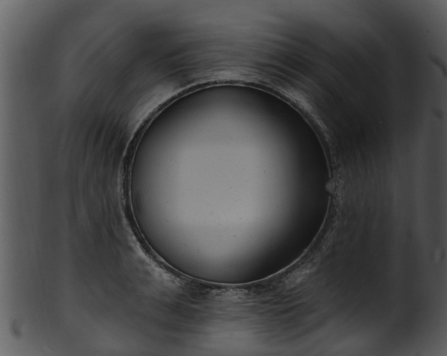 X0000101420991200807141150