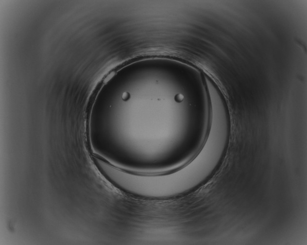 X0000101420992200807141150