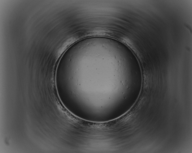 X0000101420994200807141150