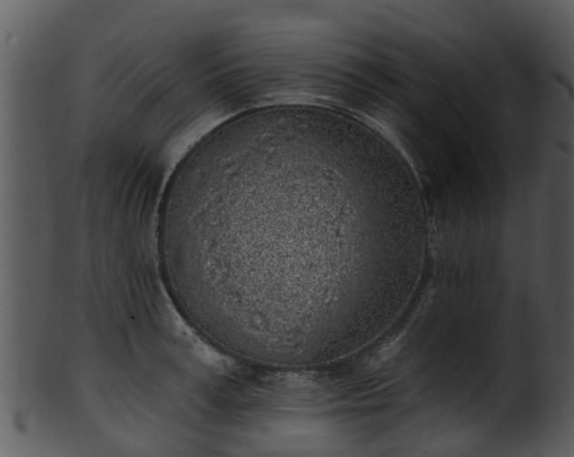 X0000101420995200807141150