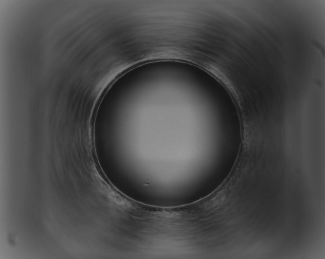 X0000101420996200807141150