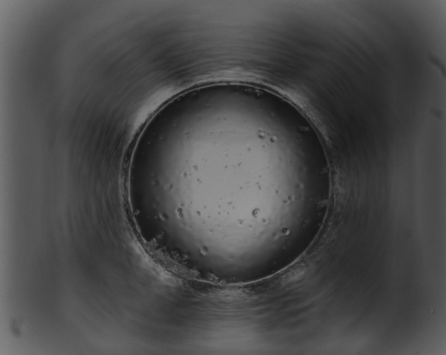 X0000101420998200807141150