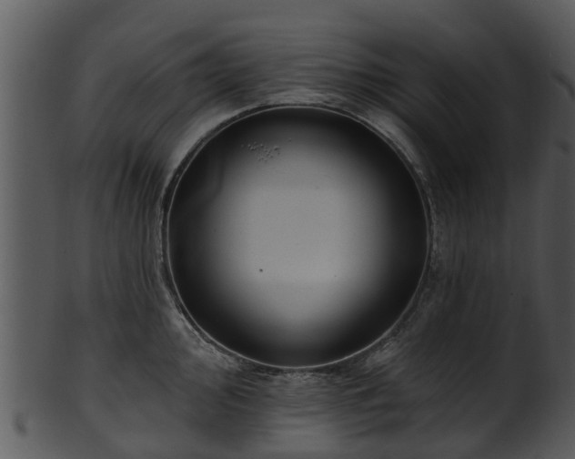 X0000101421000200807141150