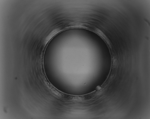 X0000101421002200807141150
