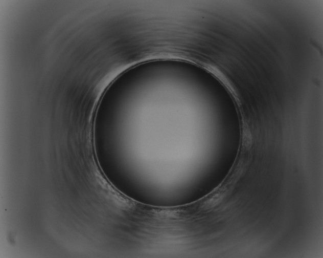 X0000101421004200807141150
