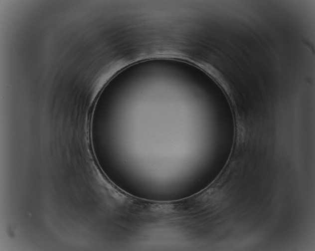 X0000101421006200807141150