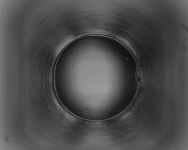 X0000101421007200807141150