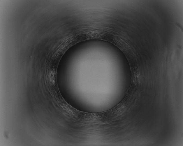 X0000101421010200807141149