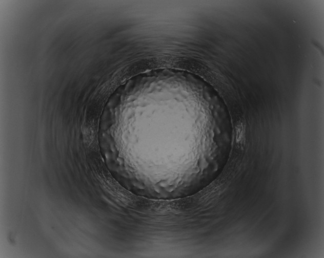 X0000101421011200807141149