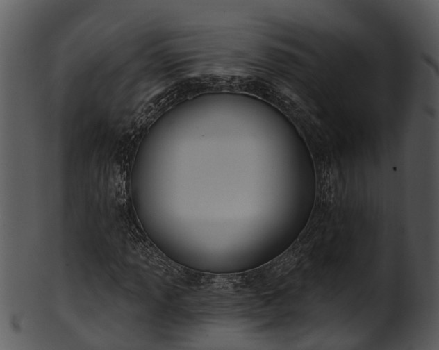 X0000101421013200807141149