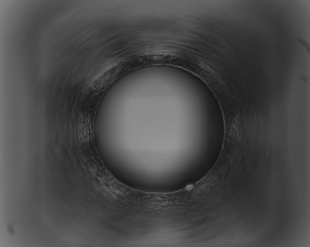 X0000101421014200807141149