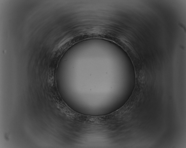 X0000101421015200807141149