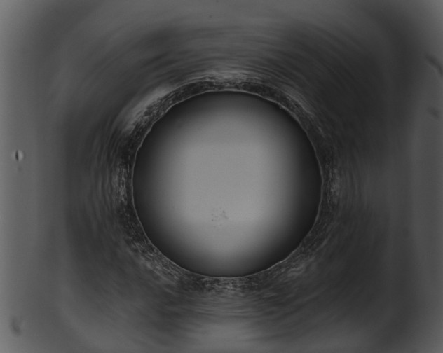X0000101421016200807141149