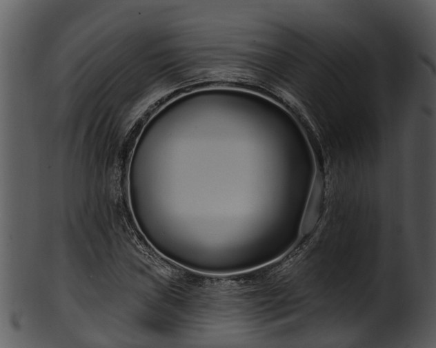 X0000101421019200807141149