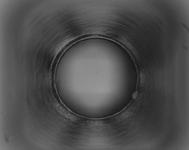 X0000101421020200807141149