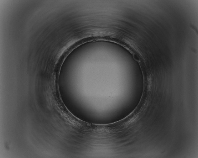 X0000101421021200807141149