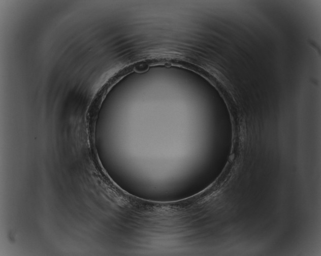 X0000101421022200807141149