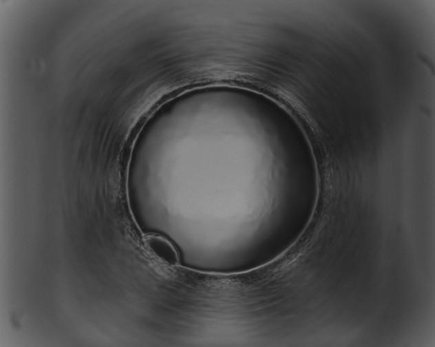 X0000101421023200807141149