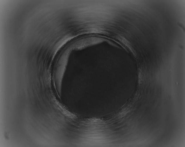 X0000101421024200807141149