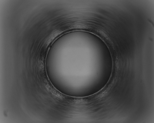 X0000101421025200807141149