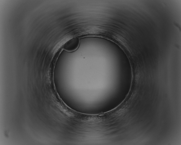 X0000101421026200807141149