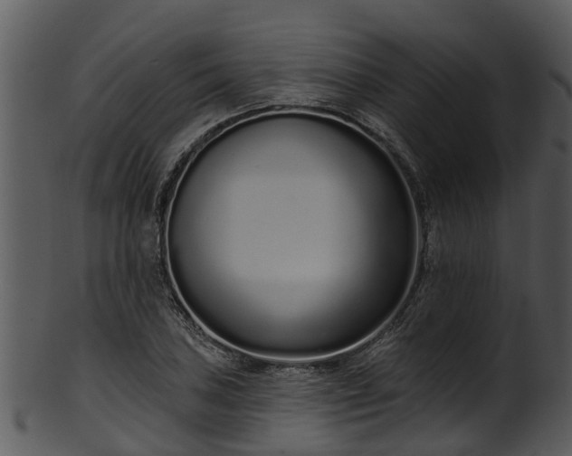 X0000101421027200807141149