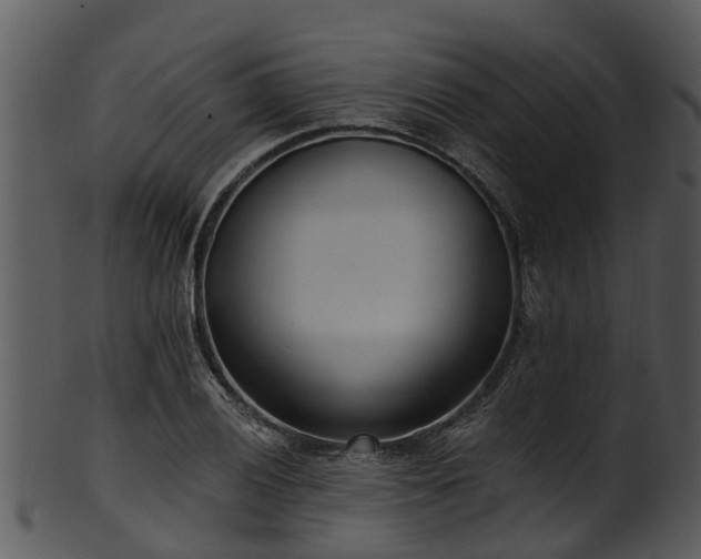 X0000101421028200807141149