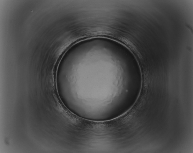 X0000101421031200807141149