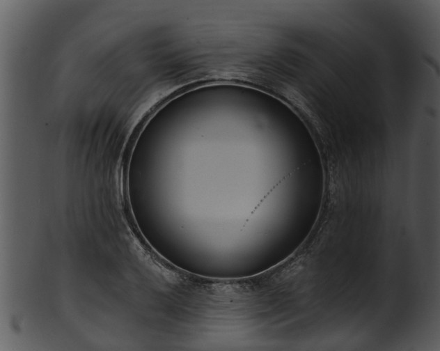 X0000101421032200807141149