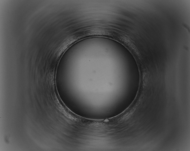 X0000101421033200807141150
