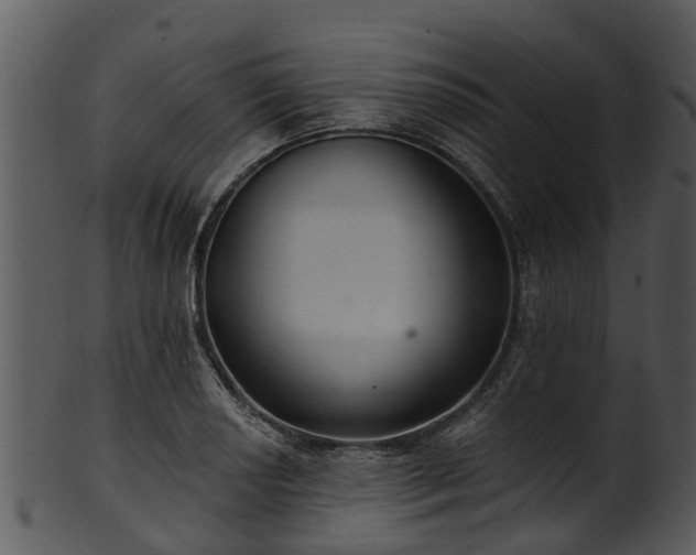 X0000101421034200807141150