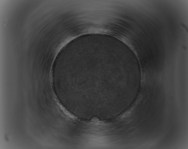 X0000101421037200807141150