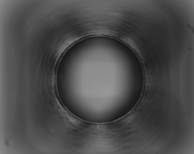 X0000101421040200807141150