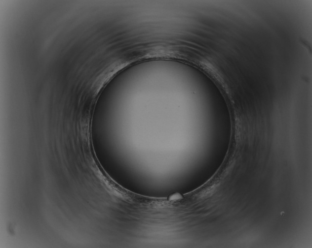 X0000101421041200807141150