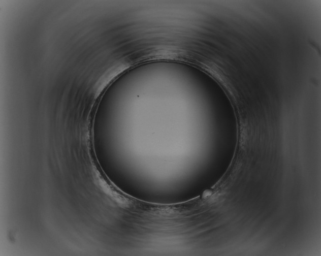 X0000101421042200807141150