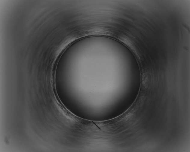 X0000101421043200807141150