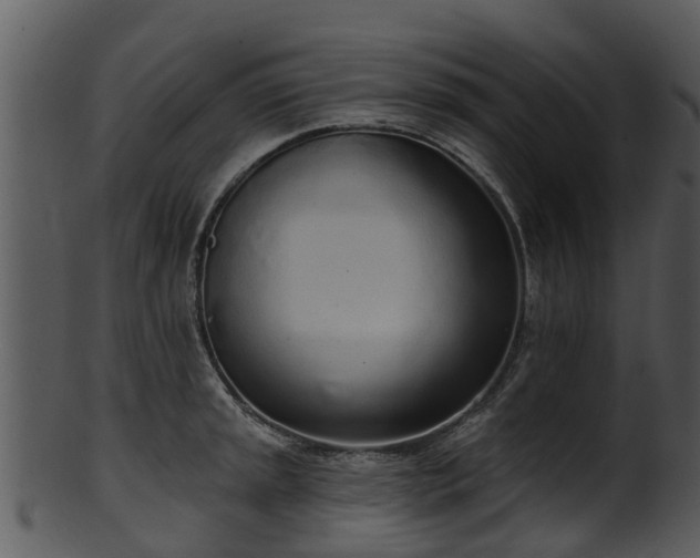 X0000101421045200807141150