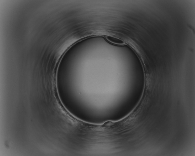 X0000101421048200807141150