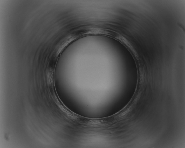 X0000101421049200807141150