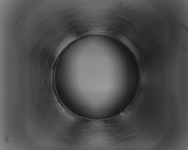 X0000101421050200807141150