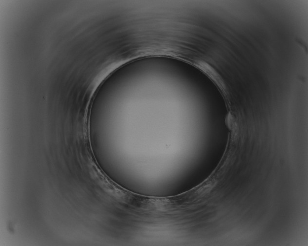 X0000101421052200807141150