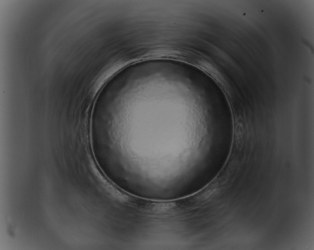 X0000101421055200807141150