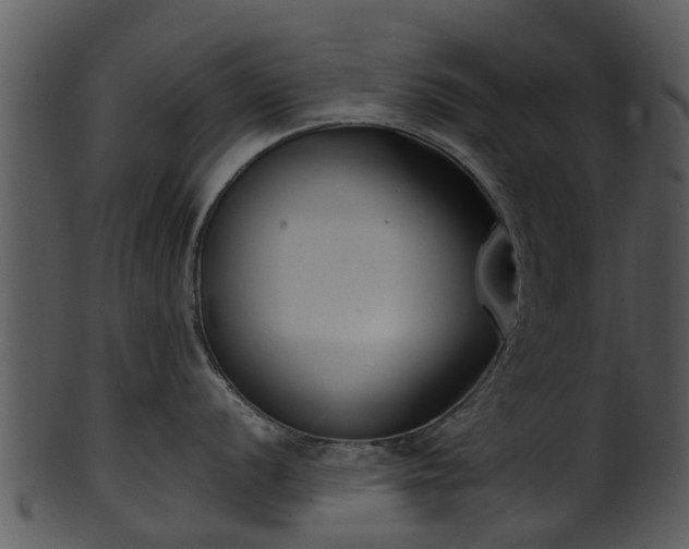 X0000101421056200807141150