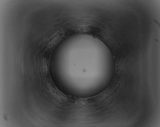 X0000101421058200807141149