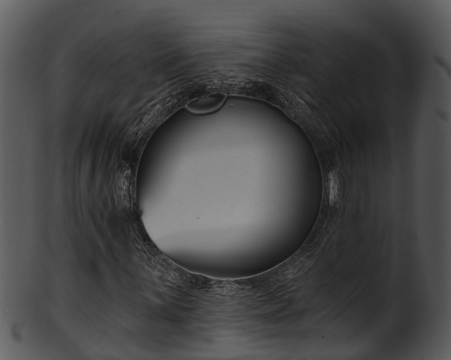 X0000101421059200807141149