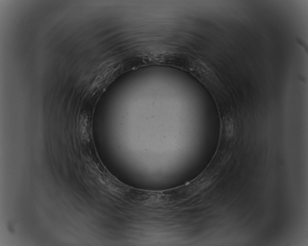 X0000101421060200807141149